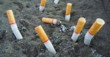 Влияние никотина на организм человека. О вреде курения