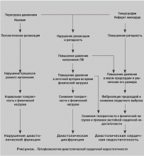 Гипертрофия левого желудочка - симптомы и факторы, провоцирующие патологию, лечение