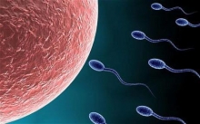 Малоподвижные сперматозоиды: причины и лечение