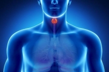 Коллоидные узлы щитовидной железы: симптомы и лечение