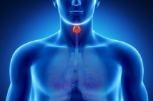 Т3 - гормон щитовидной железы: за что отвечает, норма и отклонения от нормы
