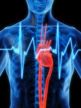 Кардионевроз - симптомы и лечение дисгармоничной регуляции работы сердца