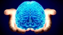 В поисках ответа: сколько весит мозг человека?