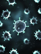 Как отличить отравление от ротавируса? Симптомы заболеваний