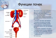 Диета после удаления почки