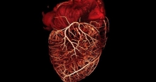 Полулунный клапан сердца: строение, расположение. Полулунные клапаны сосудов