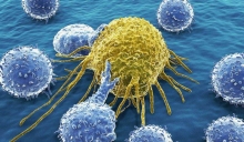 Неспецифический иммунитет: определение, механизмы, факторы и особенности