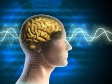 Альфа-ритмы головного мозга: описание, особенности и функции