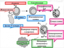 Фиксированный медикаментозный стоматит