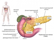 Панкреатит - симптомы, основные формы, причины панкреатита, приступ панкреатита, лечение