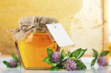 Клеверный мед: полезные свойства и состав продукта