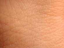 Что такое кожа и ее значение для организма человека
