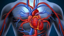 Факторы риска и профилактика артериальной гипертензии. Симптомы, диагностика и лечение артериальной гипертензии