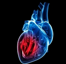 Фракция выброса сердца: норма и патология