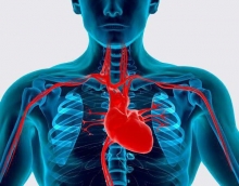 Основные факторы риска сердечно-сосудистых заболеваний: описание. Профилактика заболеваний сердца и сосудов