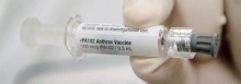 Вакцина против сибирской язвы: особенности применения, инструкция