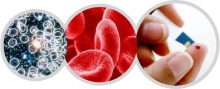 Что покажет клинический анализ крови: расшифровка, нормальные показатели и отклонения