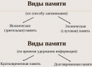 Иконическая память и эксперимент Сперлинга