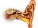 Как избавиться от серных пробок в ушах? Советы, лечение, профилактика здесь!