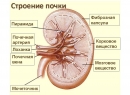 Песок в почках лечение народными методами