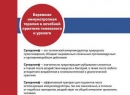 Свечи, веществ, природных, комплекс, «Суперлимф», обеспечивает противомикробный эффект, иммуномодулирующее, антисептическое, противовирусное, производят, пациента, Нередко, становятся дополнением, учитывая