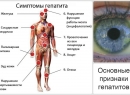 Гепатит С - симптомы, лечение, группы риска и особенности заболевания