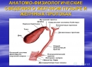 Желчекаменная болезнь - симптомы образования камней в области желчных протоков и желчного пузыря, стадии забо