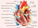 11 симптомов, указывающих на серьезные проблемы с сердцем